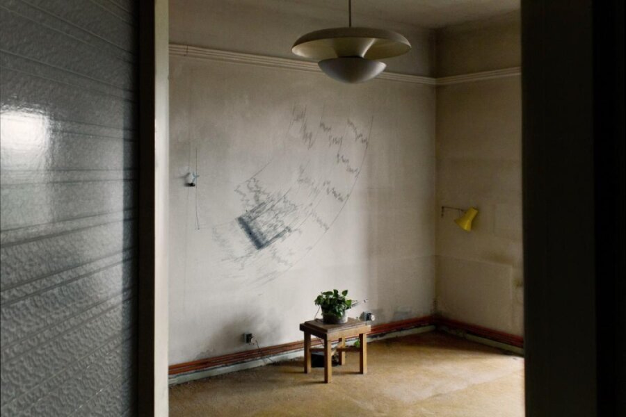 J. Jansa, Rostlina, biofeedback EEG, záznam závěsného plotru nastěně